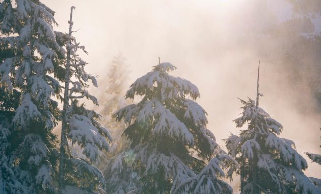 kaos panitia qurban,kaos panitia kurban,kaos panitia qurban keren